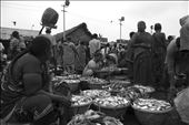 Business - Sukrithi and Shanthi wait for Customers to sell off the Fish: by praveen1012, Views[228]