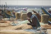 Skilled - Mari has been netting more than 38 years: by praveen1012, Views[277]