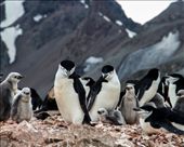 by pravidence, Views[165]