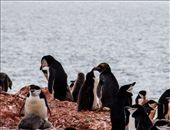 by pravidence, Views[208]