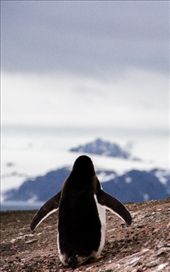 by pravidence, Views[164]