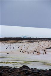 by pravidence, Views[138]