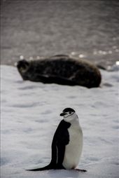 by pravidence, Views[173]