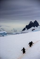 by pravidence, Views[173]