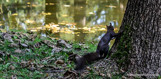 Feel of Freedom
NIKON D7100
f3.5
1/500sec.
ISO 320
Focal lenght 50mm
Metering: Spot