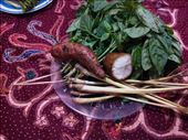 Some of the ingredients: lemongrass, lemon basil, cassava, sweet potato: by primadonnaangela, Views[255]