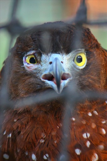 Are you kidding me?!