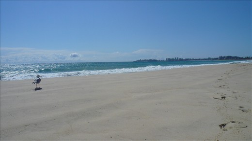 My long walk on the beach