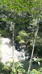 Currumbin Creek: by prisca, Views[307]