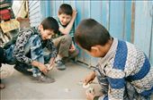 I chanced upon this bunch of kids along the back streets of Yarkand (Xinjiang, Western China) participating in what seems to be the most popular childhood activity in town. It requires a deck of round cards and the players' ability to toss each card against the ground perpendicularly so that it would bounce back up and override the opponent's card.

Watching them in complete indulgence makes me realize; that games and fun take form in the simplest possible way, and does not always have to involve the latest electronic gadgets.

Sometimes, it doesn't even matter what we do, as long as we have the right company.: by priscilla_ong, Views[1096]