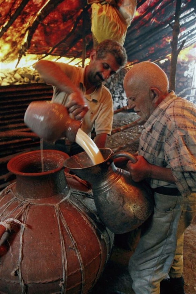  Work division is key within the group with each member entrusted with certain responsibilities. However old ways struggle to survive in the age of modernisation. With every passing day, there are fewer takers for the fresh produce that the cowherds send to the markets. 