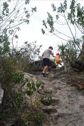 by projectmucuge, Views[187]