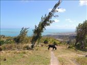 by ptch, Views[783]