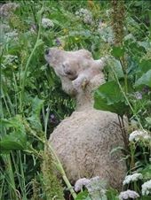 by ptch, Views[688]