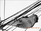 noisy: by ptch, Views[745]
