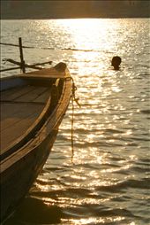 The adventurous holy dip:
A man shows adventurous spirit by swimming into the heart of Ganges and shows respect for the holy dip. : by purneshdev, Views[467]