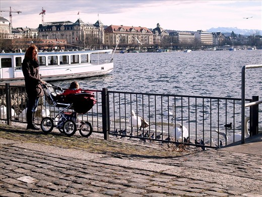 Mother and baby watching the swans, Zurich