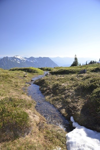 This is where the large rivers at the bottom start forming. The massive land changing power of the white water rivers at the bottom of the mountain start here in little, life giving ,streams coming fresh out of the melting snow pack and seem to pour right off the face of the earth.