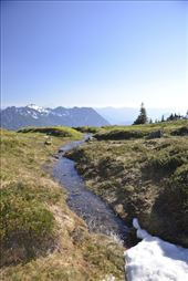 This is where the large rivers at the bottom start forming. The massive land changing power of the white water rivers at the bottom of the mountain start here in little, life giving ,streams coming fresh out of the melting snow pack and seem to pour right off the face of the earth.: by pvmphoto, Views[264]