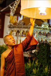 Monk: by qfoto, Views[384]