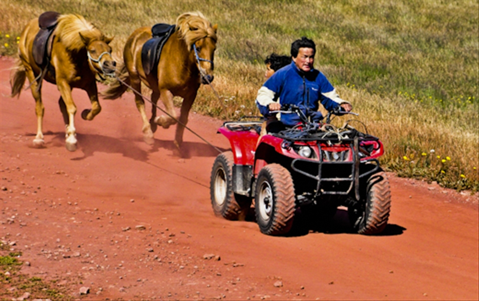 What the hell is this man doing? Is he training his horses? Quad is just a worki