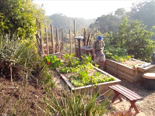 Hub working in the haze in the vegie garden!  New shed going up.  Lot's of new projects to come home to:-) 