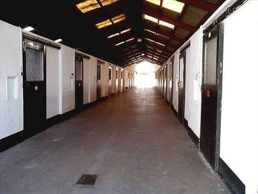 Stables