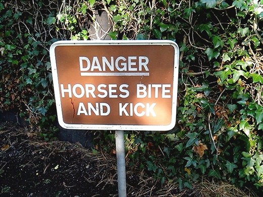 Don't pat the ponies