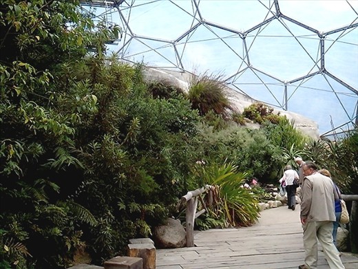 Mediterranean Biome