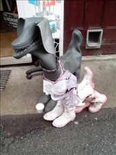 Gumboot art: by quando, Views[388]