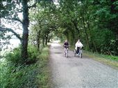Camel trail. An old rail route between Bodmin and Padstow. : by quando, Views[314]