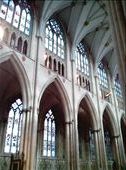 York Minster. The amount of detail, and filagree (sp?) doesn't show in the photo: by quando, Views[288]