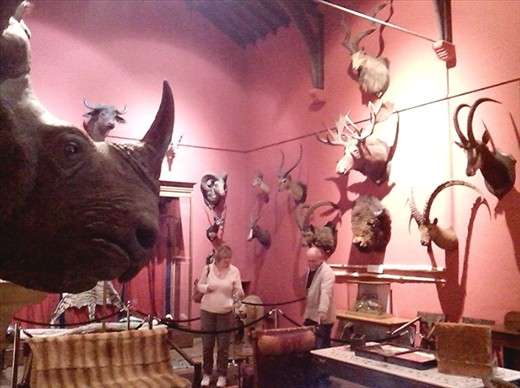 Stuffed. In more ways than one!!