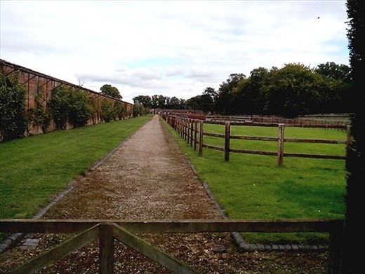 Paddocks inside the walled garden.