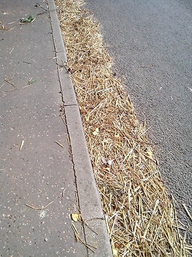 Messy tractors!! Gutter in the street