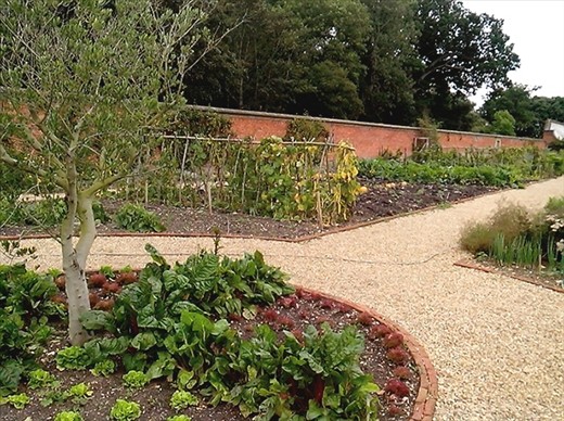 Walled garden.  More weeds then garden! This was the best bit.