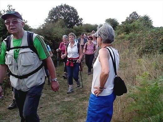 Hell!  More traffic on the walking tracks then the roads.