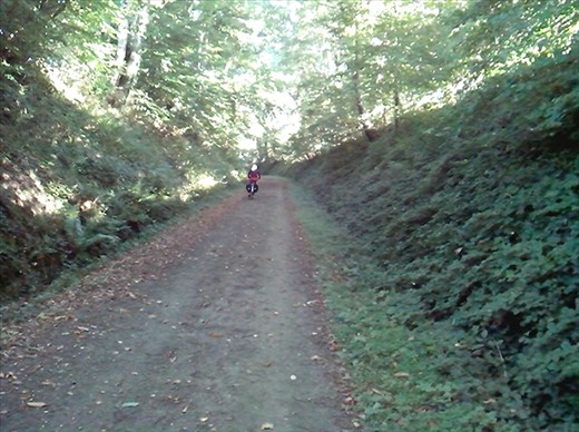 Rail line trail to Rostrenen 