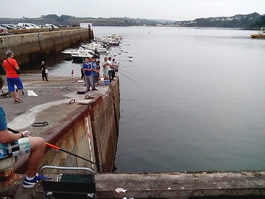 All fishing in the same spot.  The fish didn't stand a chance.