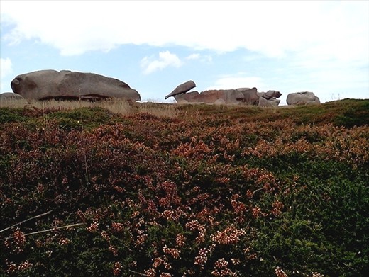 Darling Downs Australia? No France