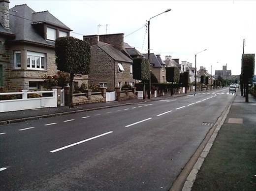Now there's a novel idea.  Square trees for narrow streets and overhead power lines.