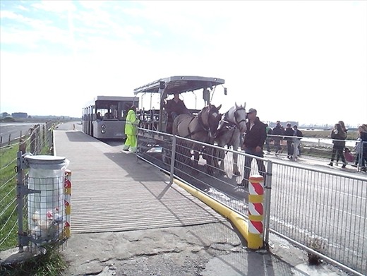 Transport options to Mont St Michel