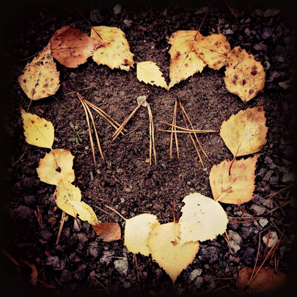 Autumn holds the beauty, was a moment to be a creative person