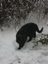 by r8chel, Views[153]