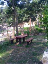 by r8chel, Views[154]