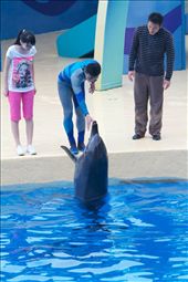 by r8chel, Views[304]