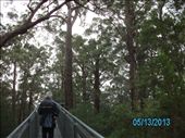 by r_d_touring, Views[71]