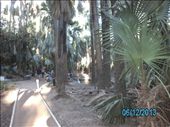 by r_d_touring, Views[84]