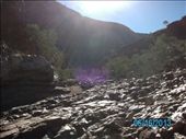 by r_d_touring, Views[83]