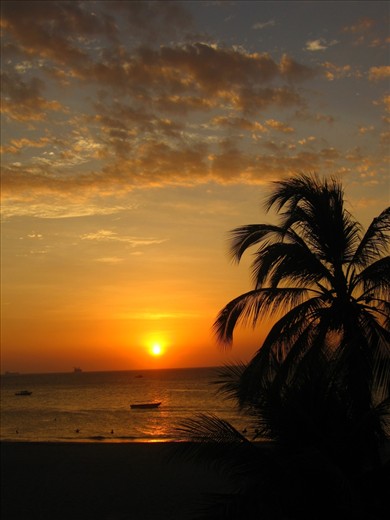 4)	Hollywood Sunset:
I choose this photo because it looks a Hollywood photo with some Photoshop touch but it isn’t…, it’s in Isla Del Rosario (Rosario island) in Colombia   one of the most natural, exotic places that I never been to…and that sunset especially was glorious.
